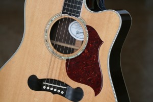 Acoustic Guitar